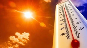 الأرصاد تتوقع طقسًا مائلًا للدفء نهارًا ودرجة حرارة عظمى بالقاهرة 23 درجة